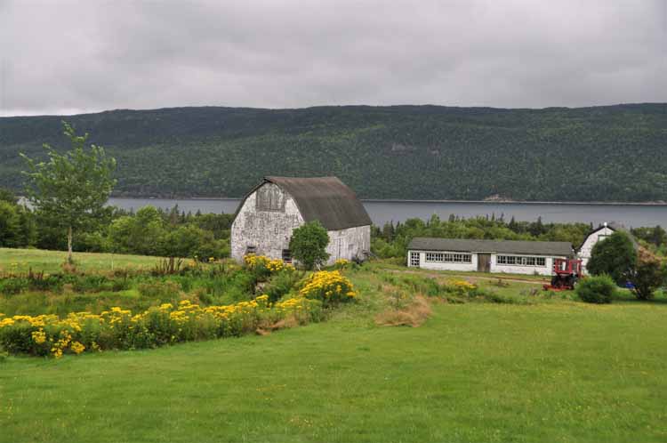 countryside